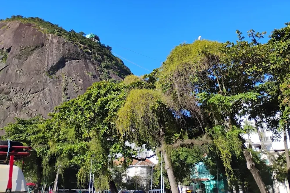 Historic Mansion in Urca - Seafood - Image